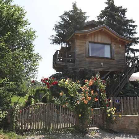 Вилла Baumhaus Imbach Экстерьер фото